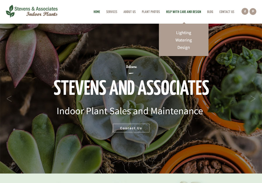 Stevens Plant Care